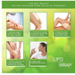 Bio Healing Lipo Applicator Tummy Body Wrap with Guarana, Green Tea and Seaweed Wraps (4 Wraps + Defining Gel (5.07 Oz))