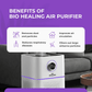 HEPA air purifier with humidifier