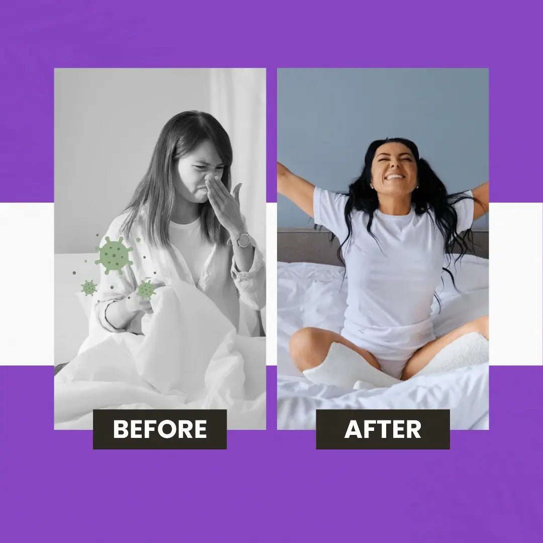 Air purifier for dust and pollen